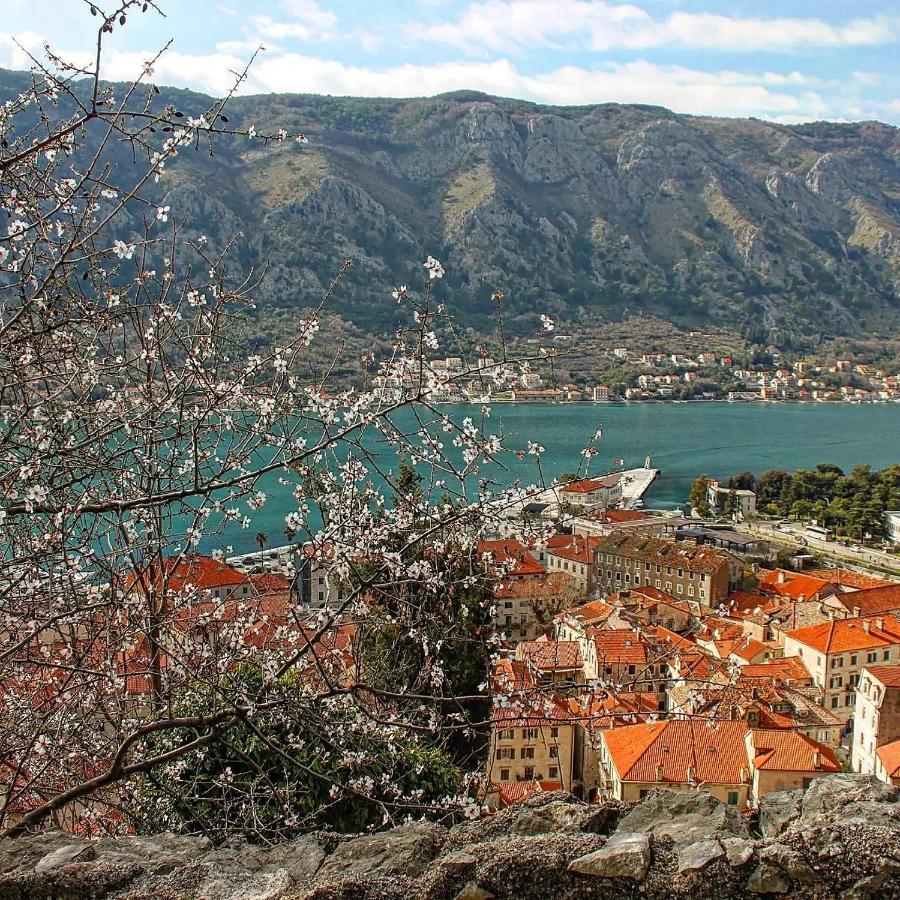Old Town Boskovic Apartment Kotor Exteriér fotografie